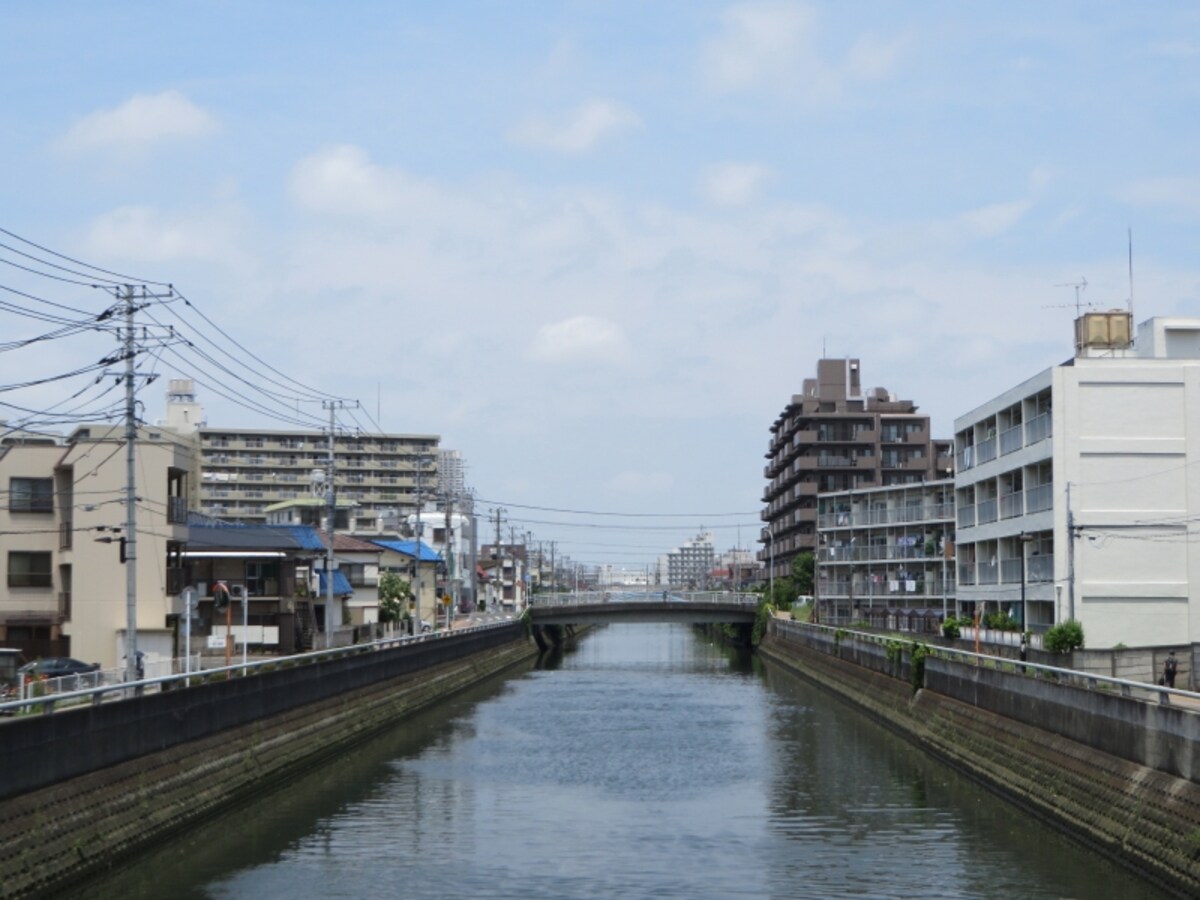 真間川沿い