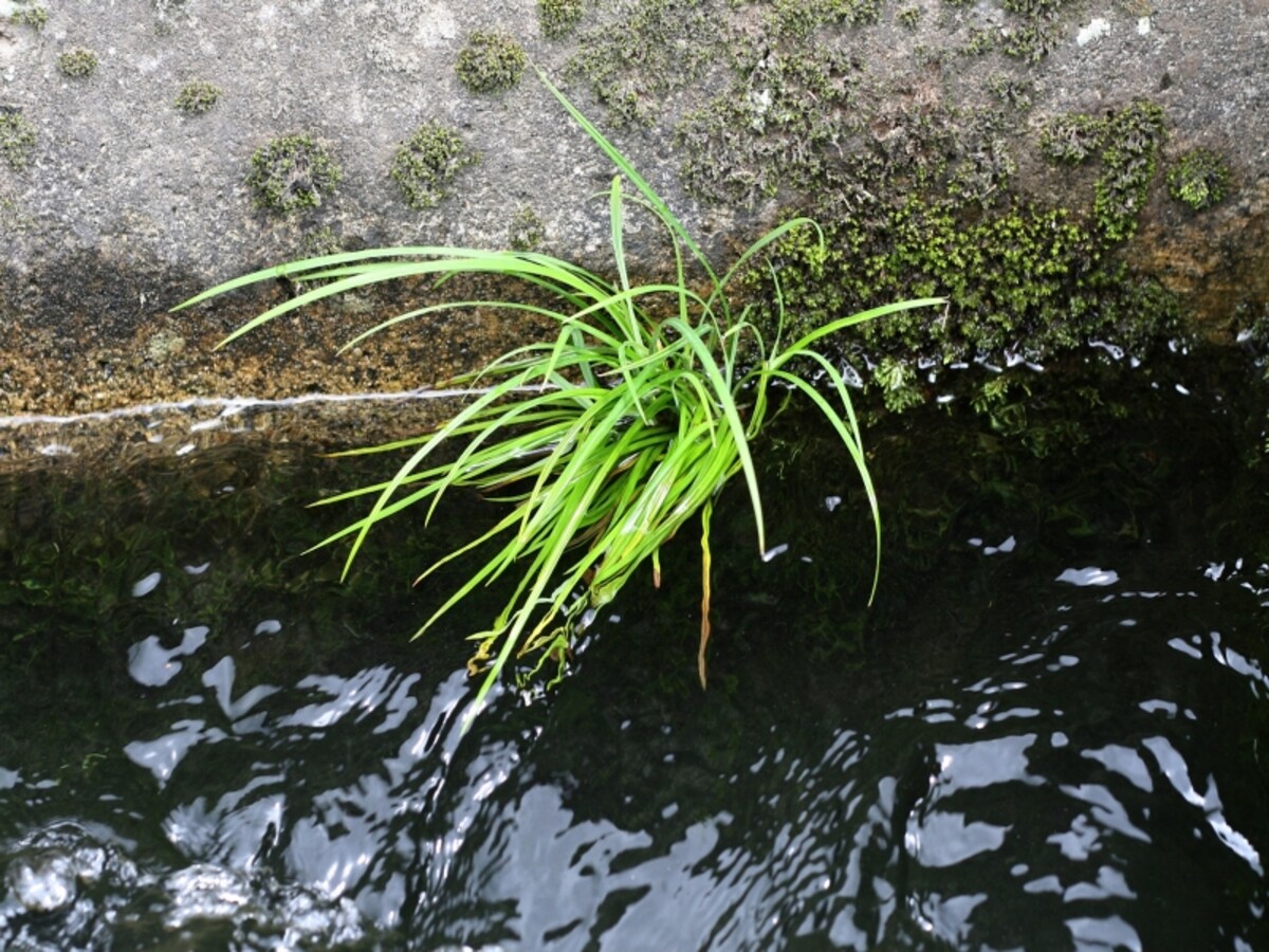 画像はイメージです