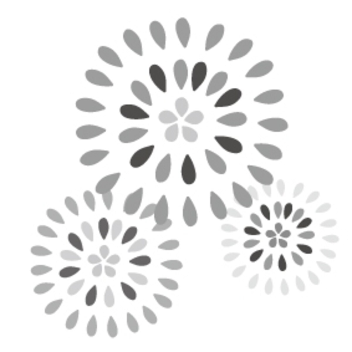 【モノクロ】色とりどりの打ち上げ花火です。
