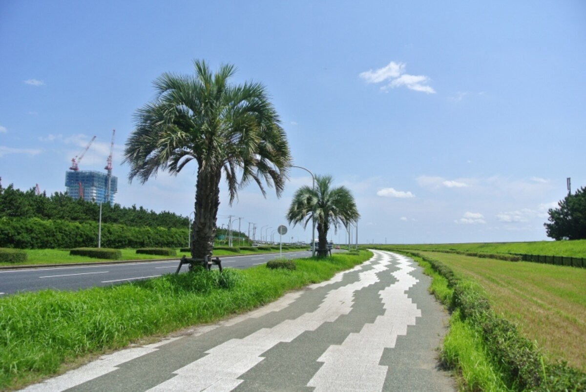 THE幕張BAYFRONT TOWER＆RESIDENCEの工事現場