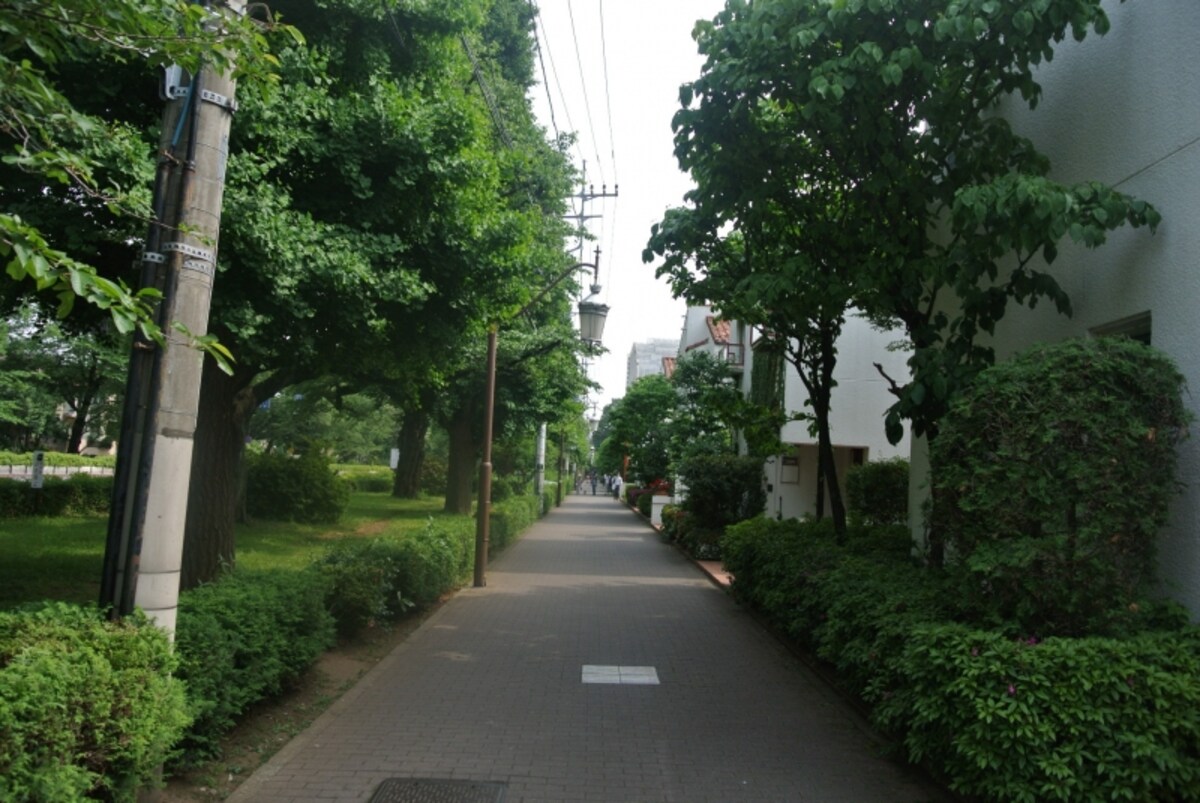 国立の街並み
