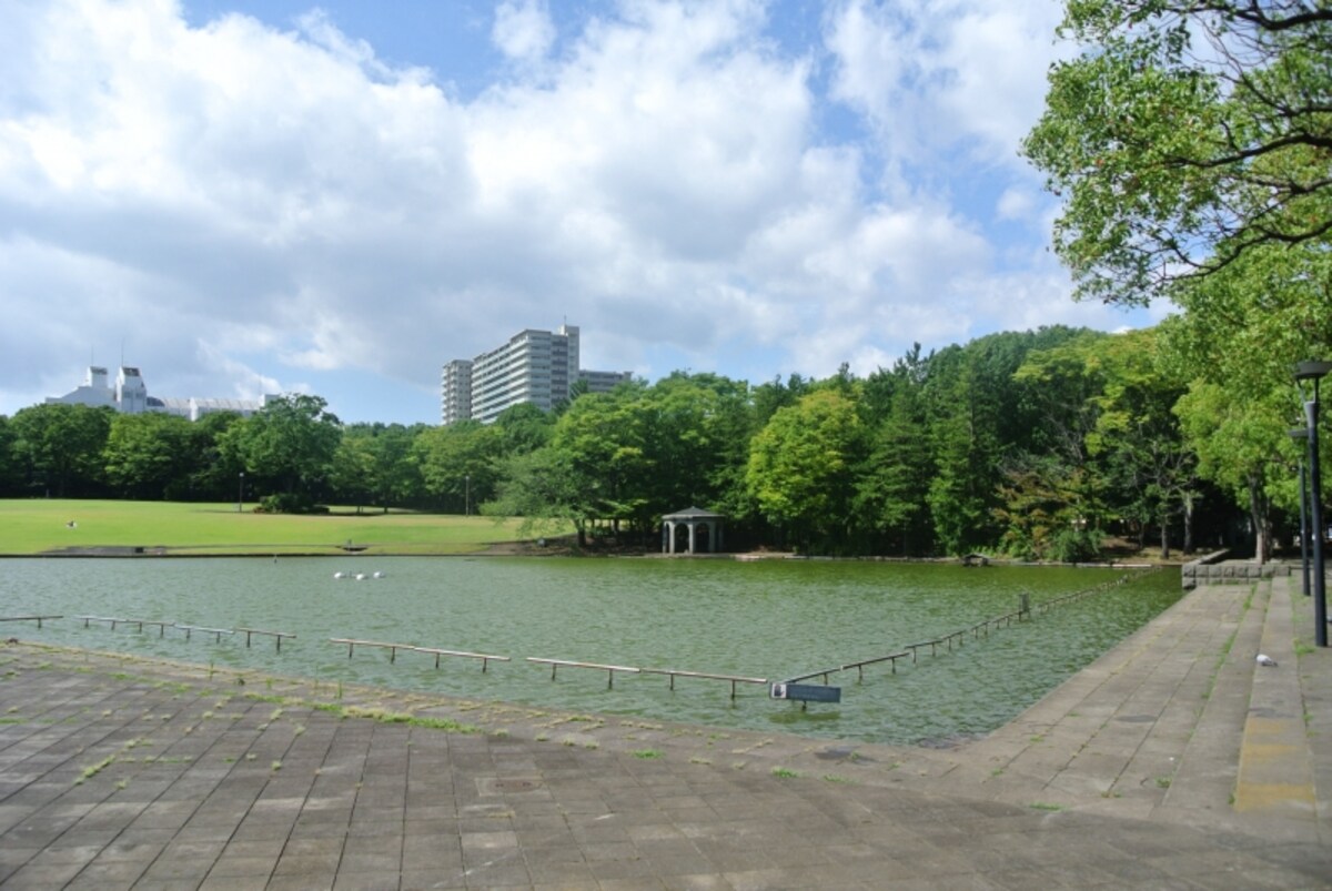多摩中央公園
