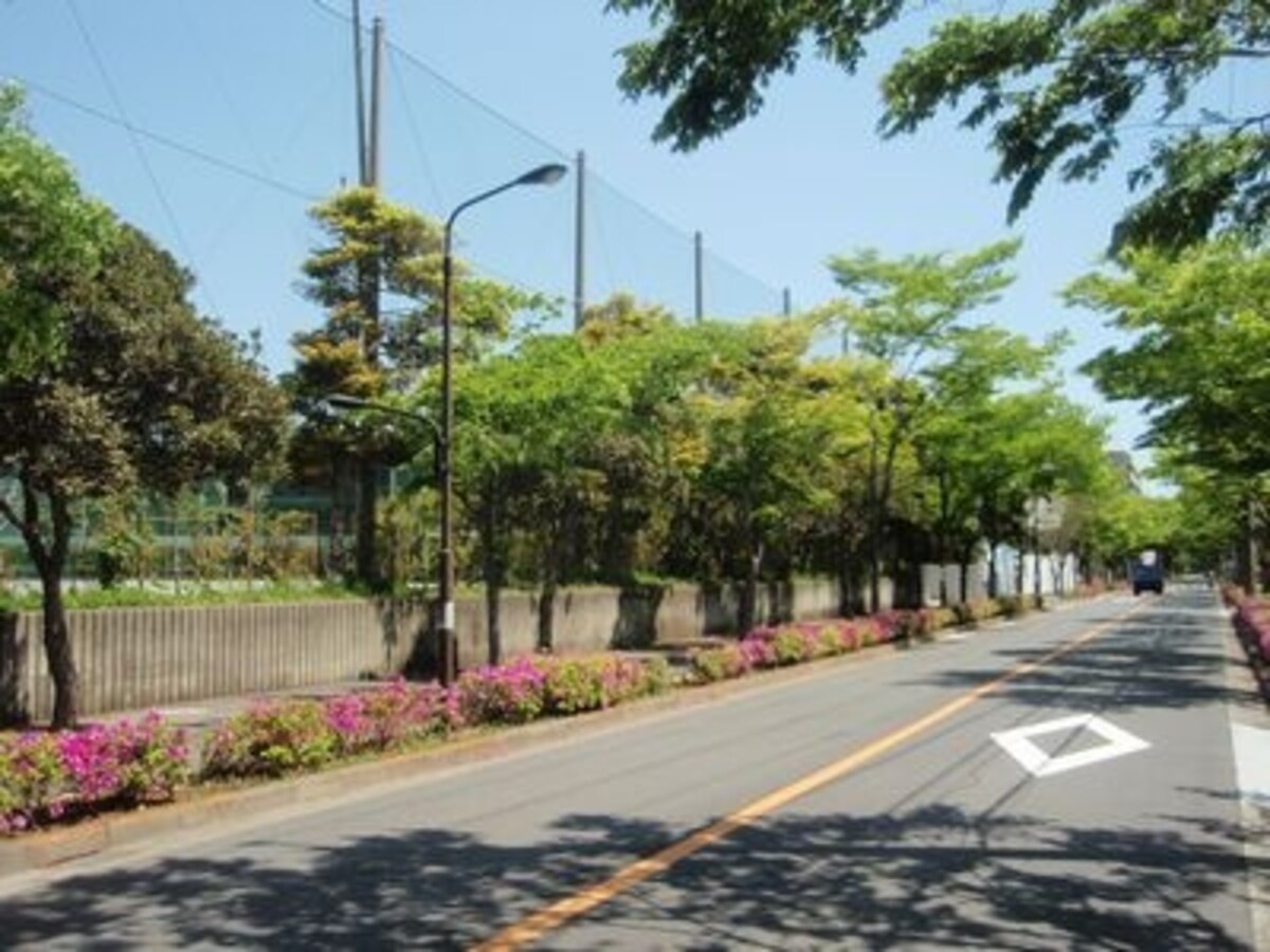 オーベル葛西ベイパークスの現地の街並み。木立が連なる遊歩道が整備され、暮らしやすそうだ