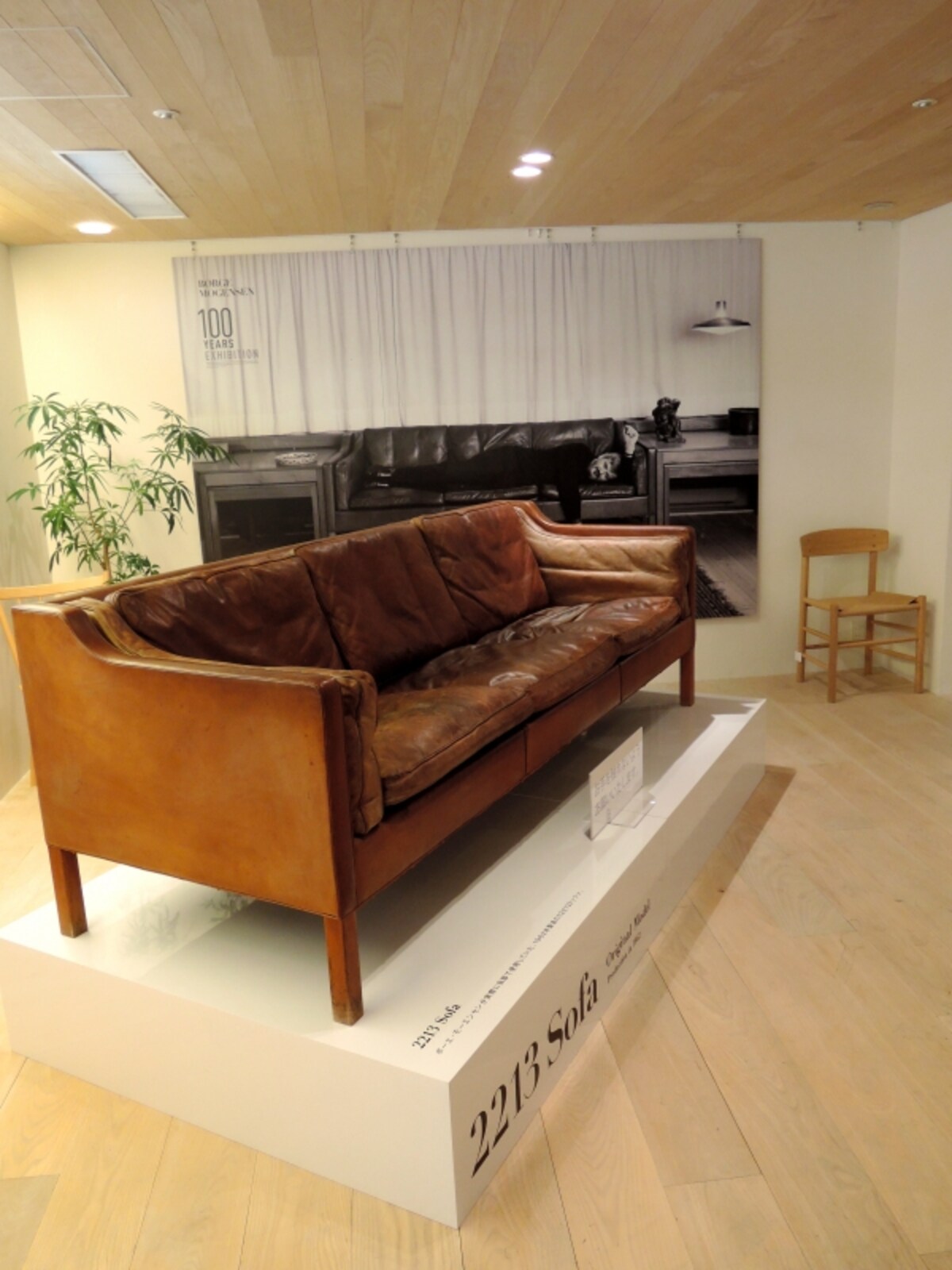 http://www.actus-interior.com/