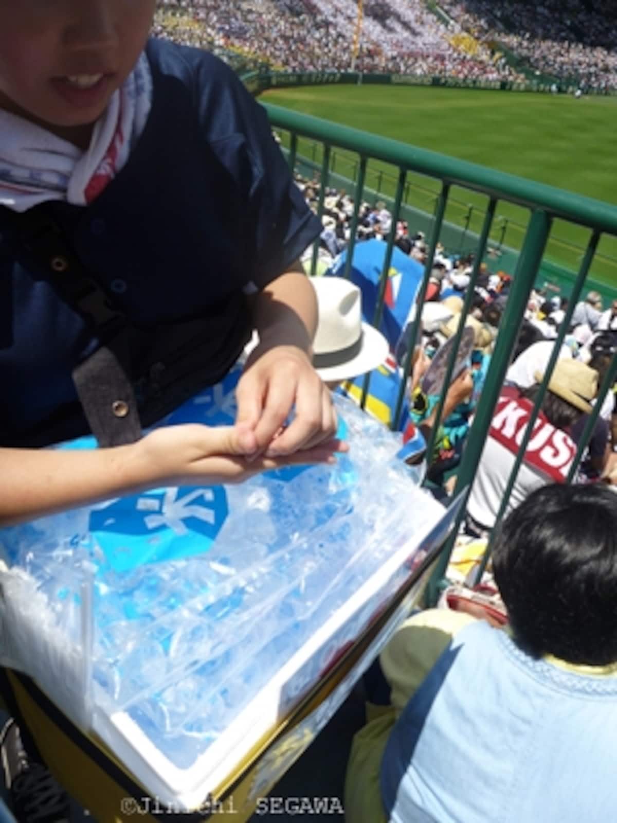 甲子園撮影