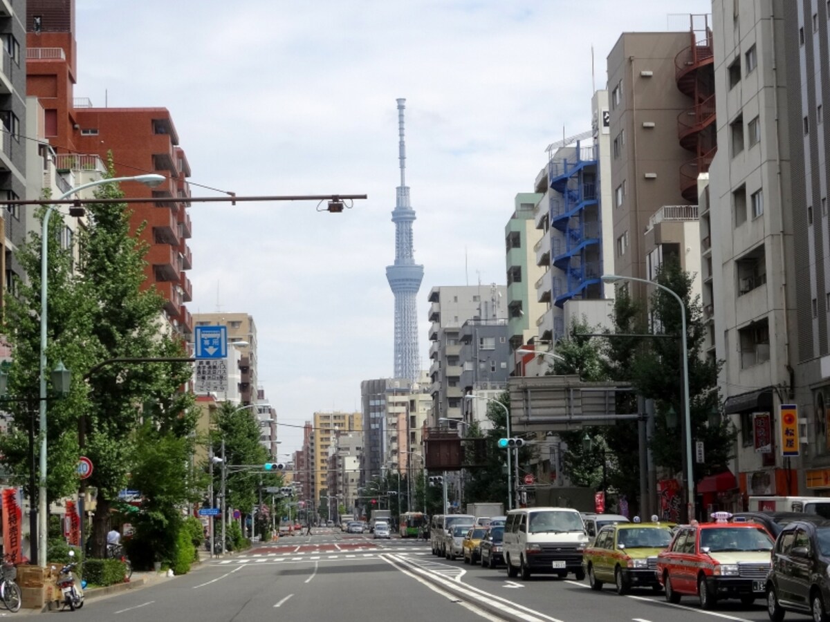先にはスカイツリーが見える