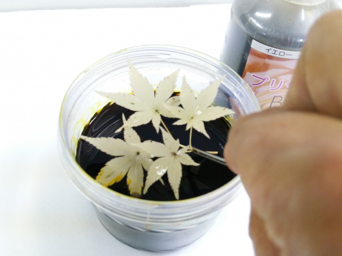 もみじのプリザーブドフラワー