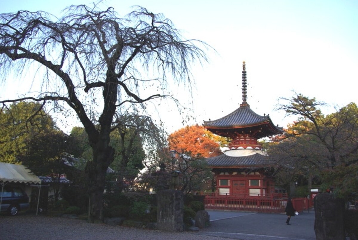 喜多院