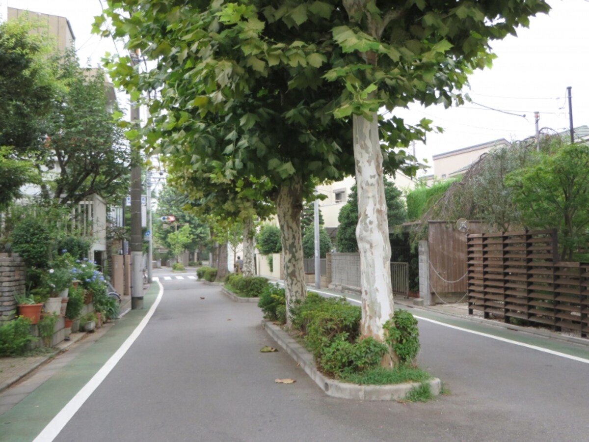 ときわ台の住宅地