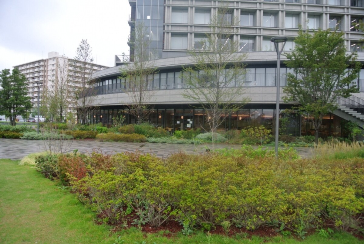 東京理科大学