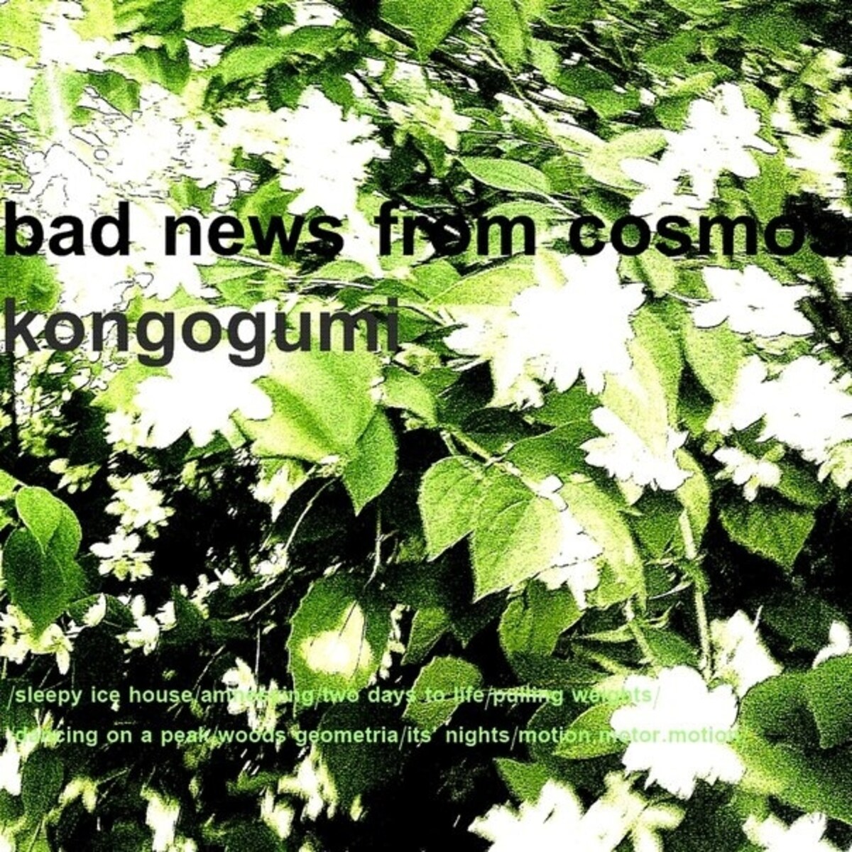 kongogumi