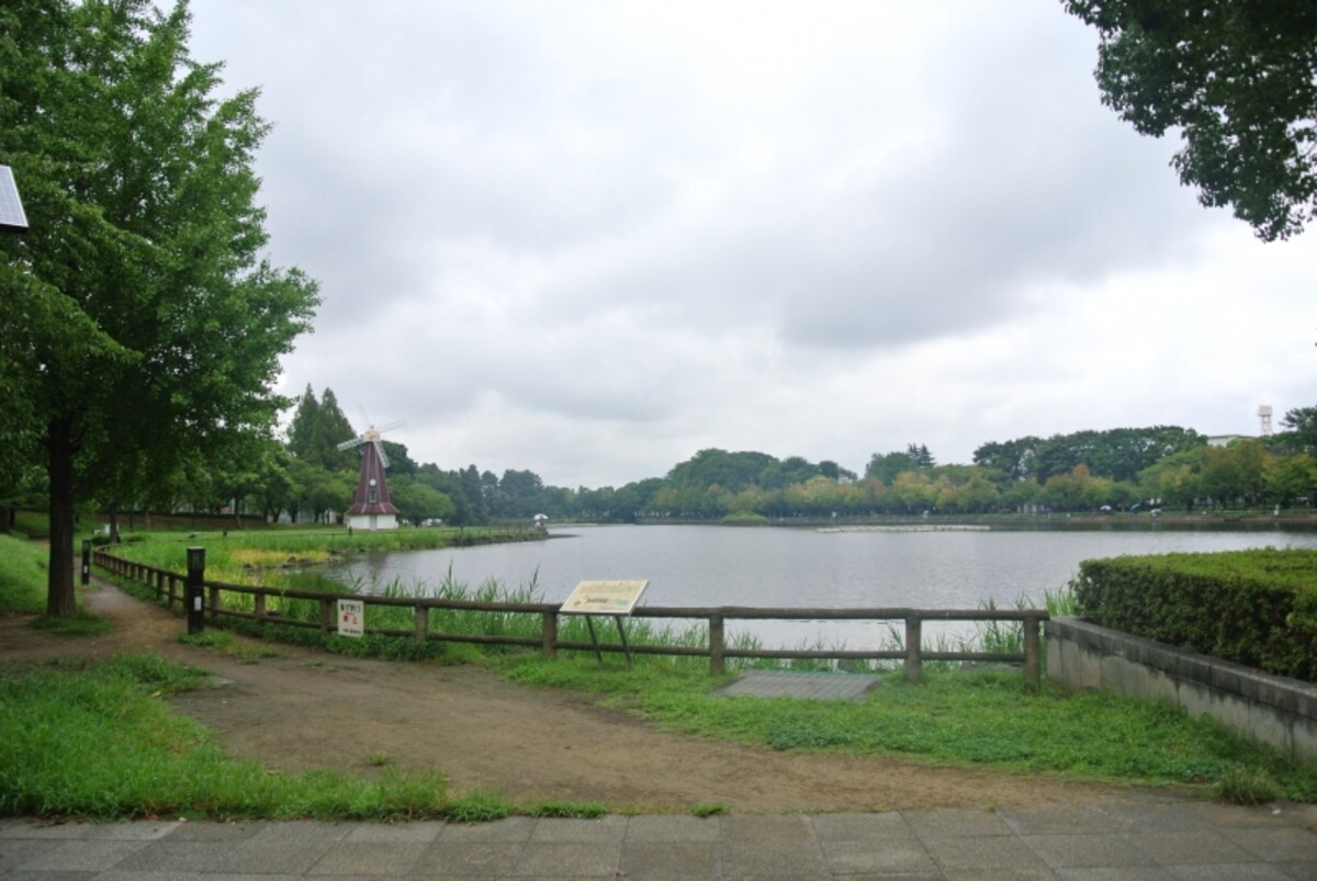 風車もある浮間公園