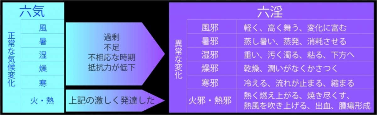 六淫