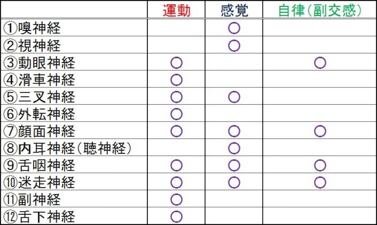 脳神経機能