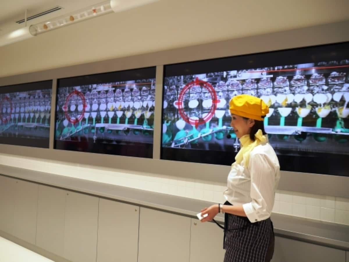 割卵機の映像