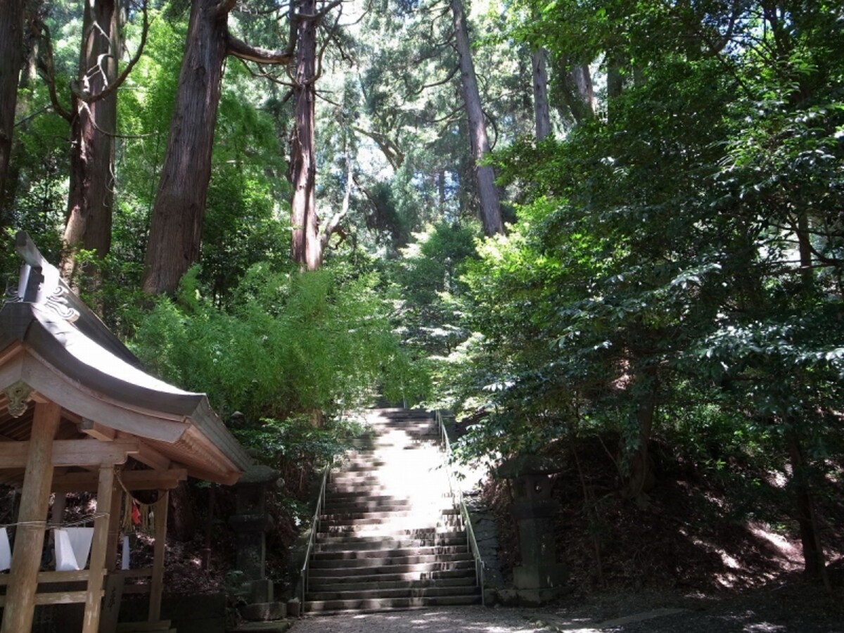 kushifuru