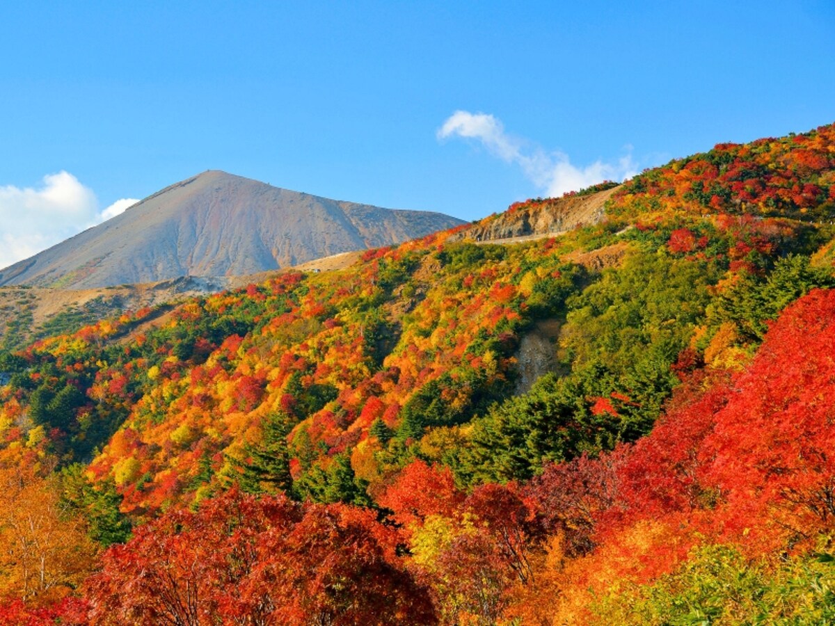 紅葉の磐梯吾妻スカイライン