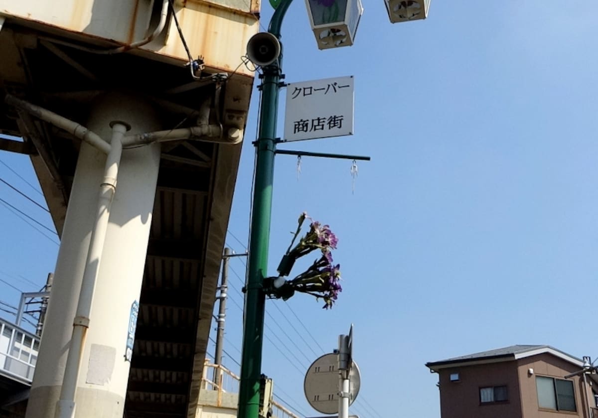 街路灯に生花というのを初めて見た