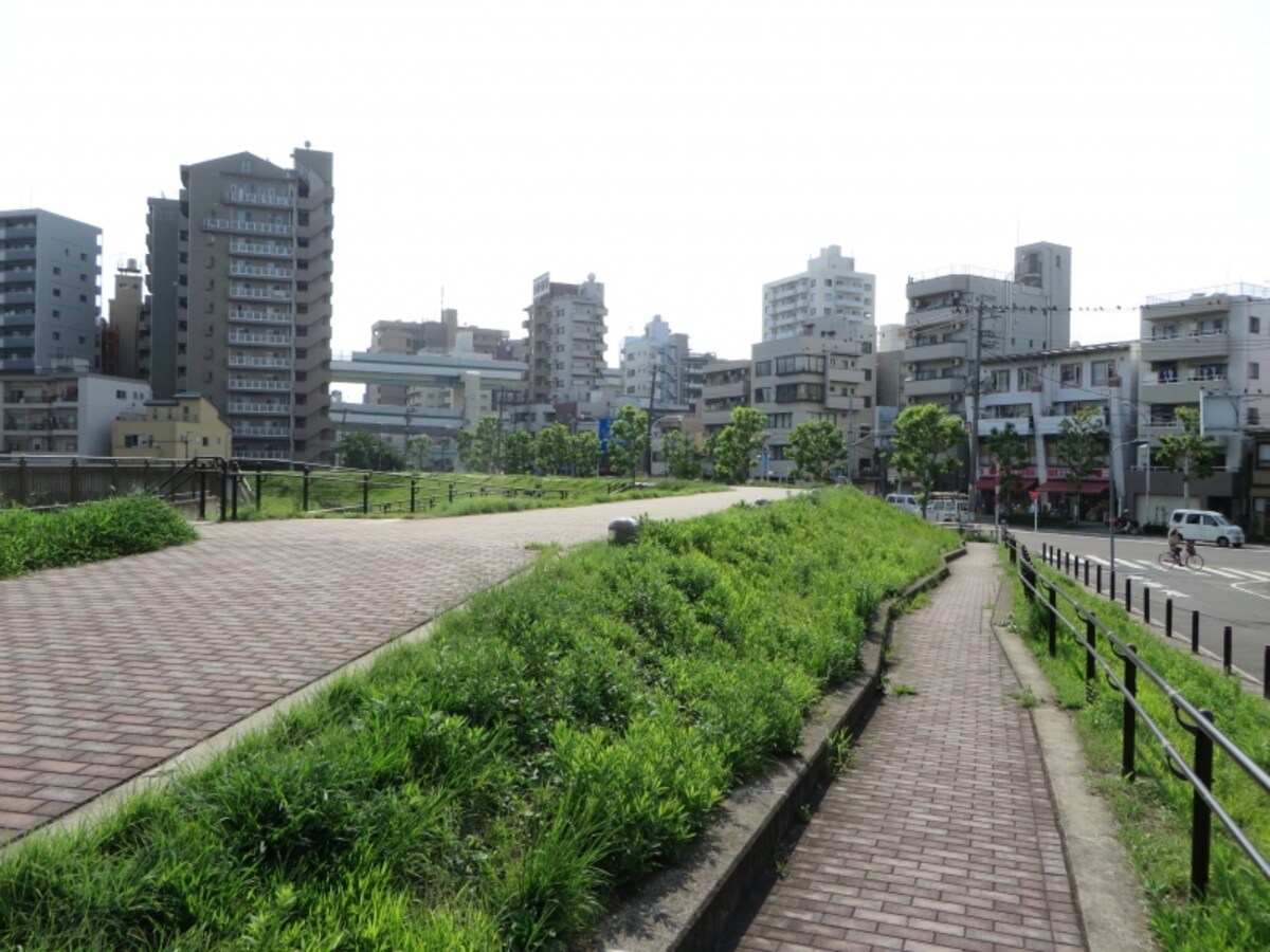 住宅の高さ