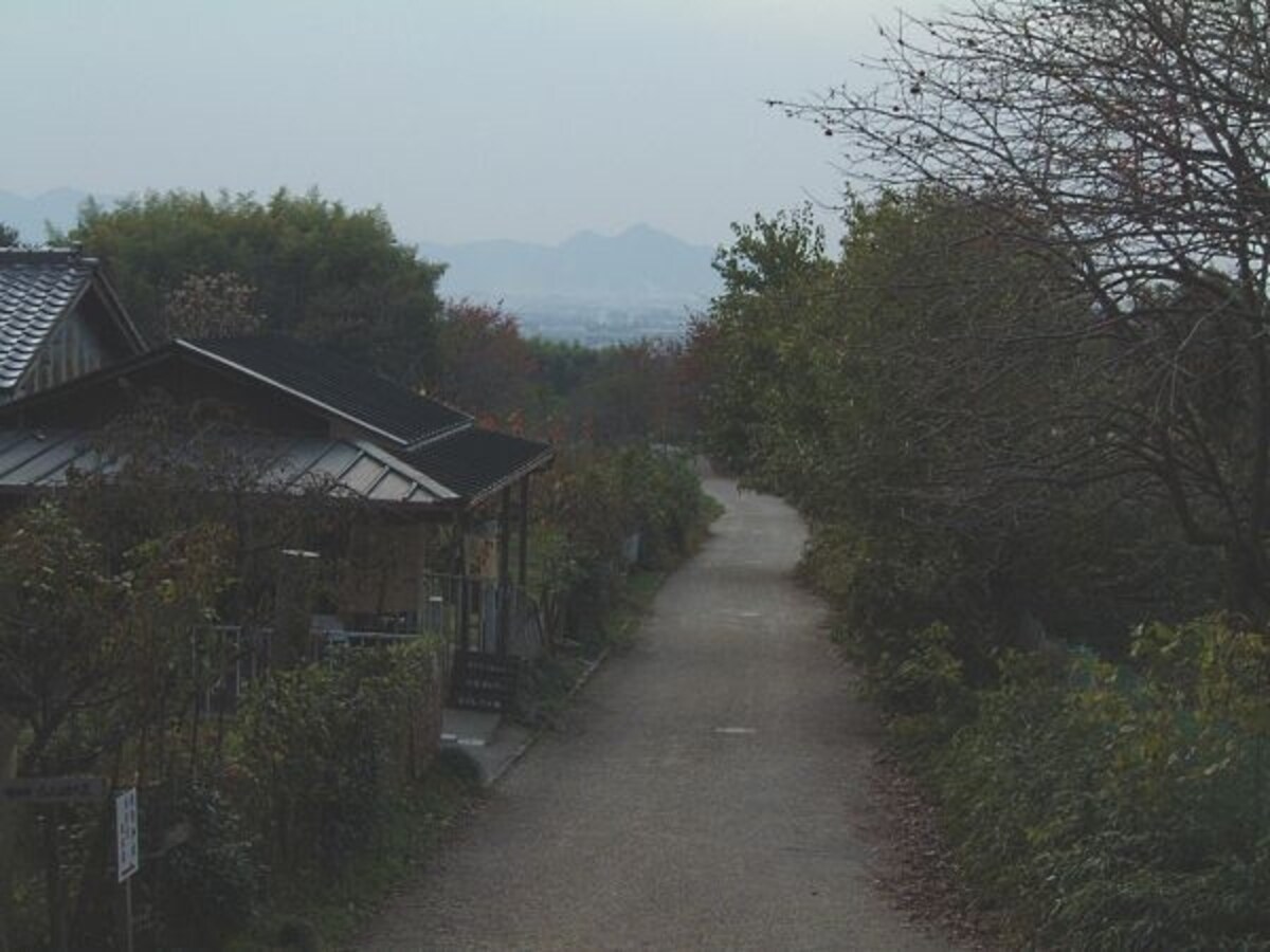桧原神社(4)/参道と二上山
