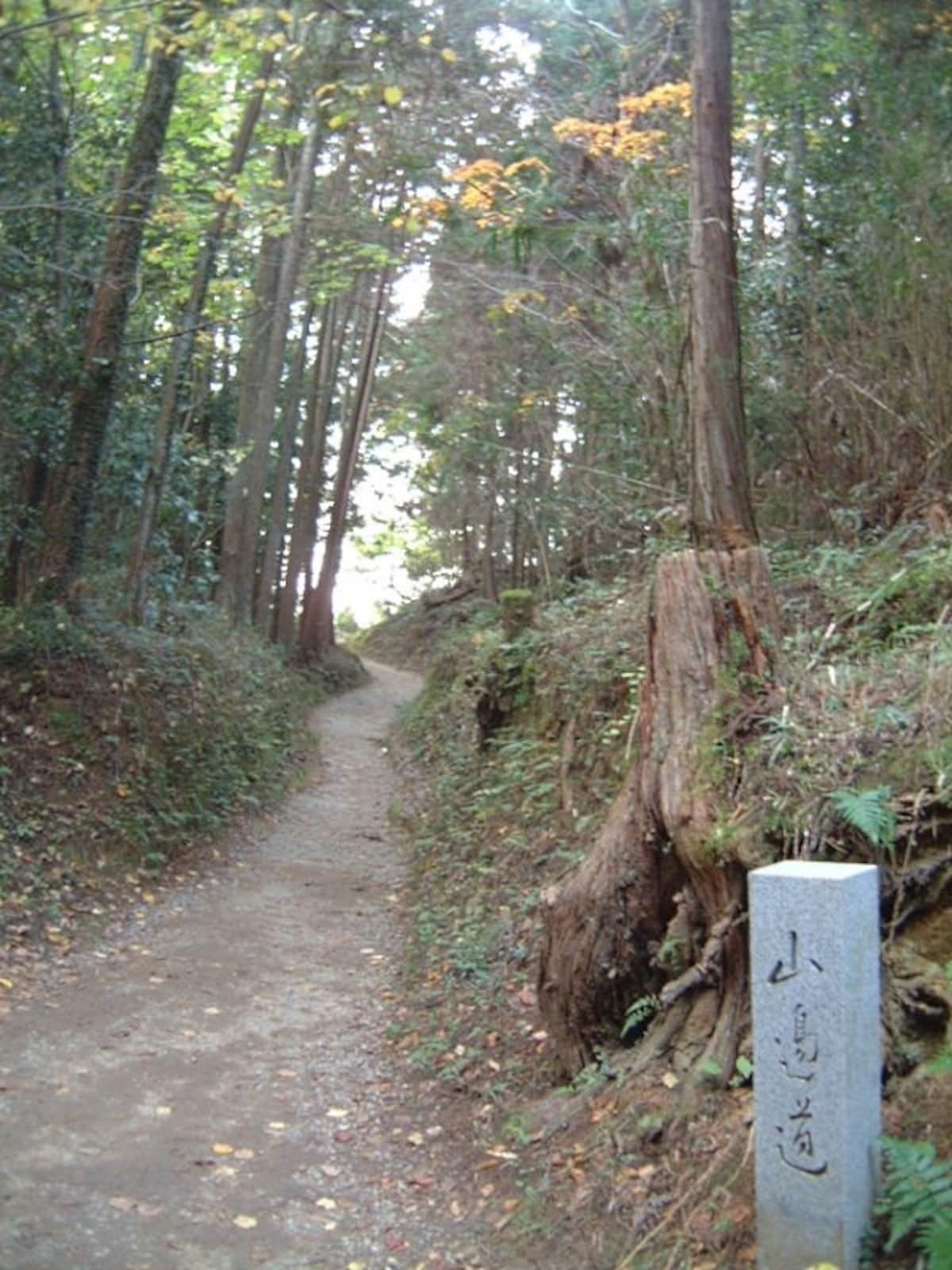 山の辺の道(1)