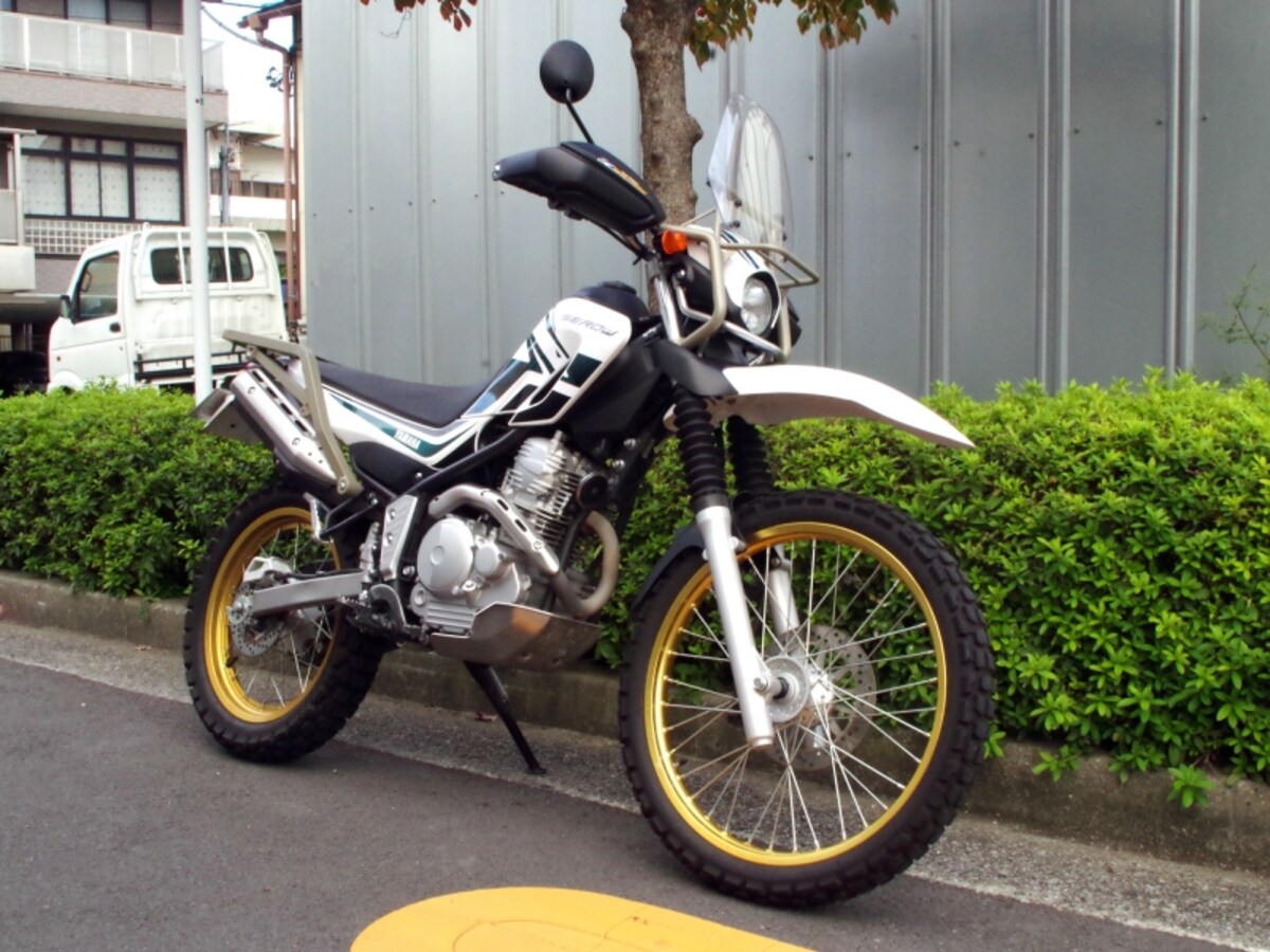 セロー250　フロントビュー