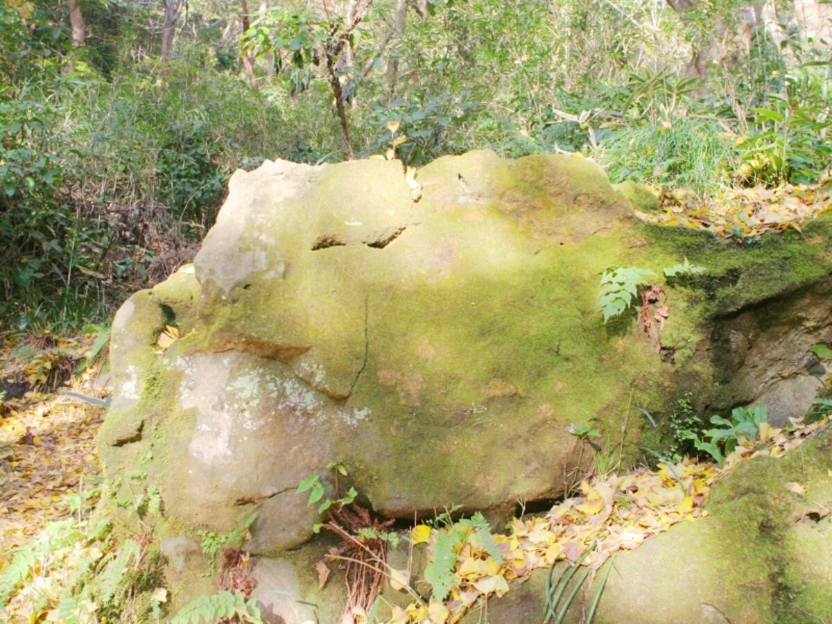 獅子の顔のような岩を探してみて