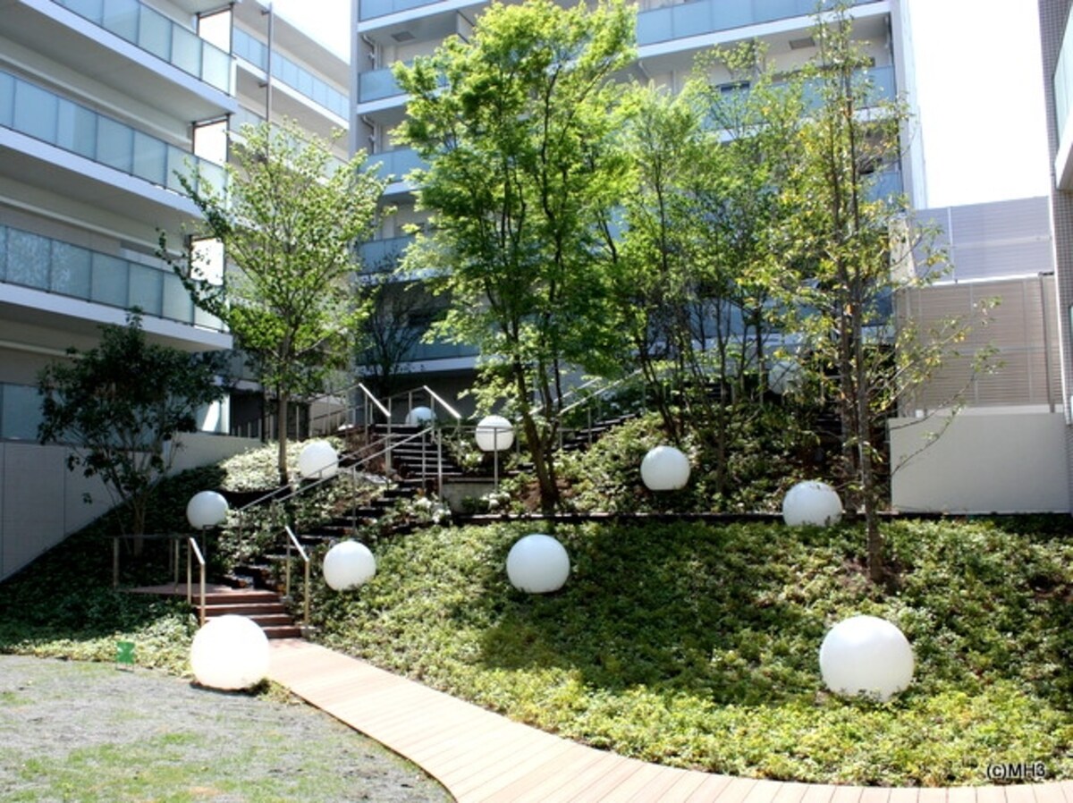 イメージフォト