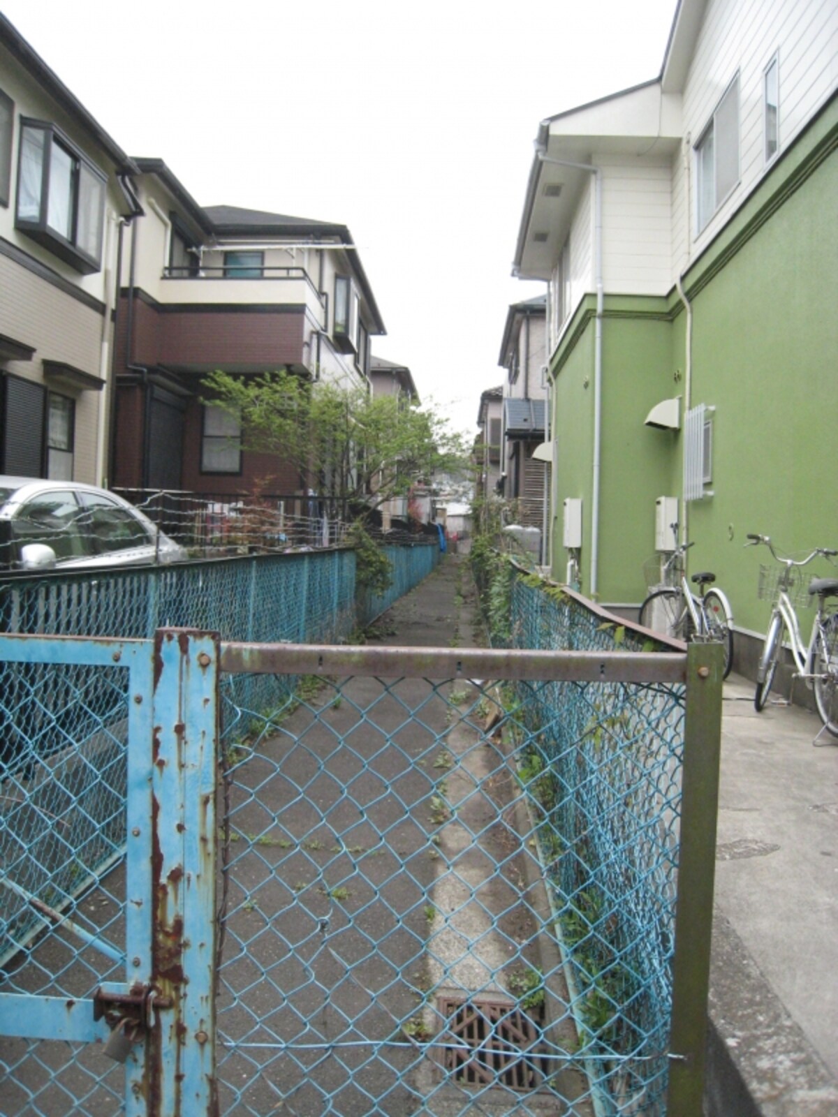 青地