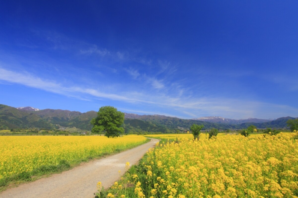飯山