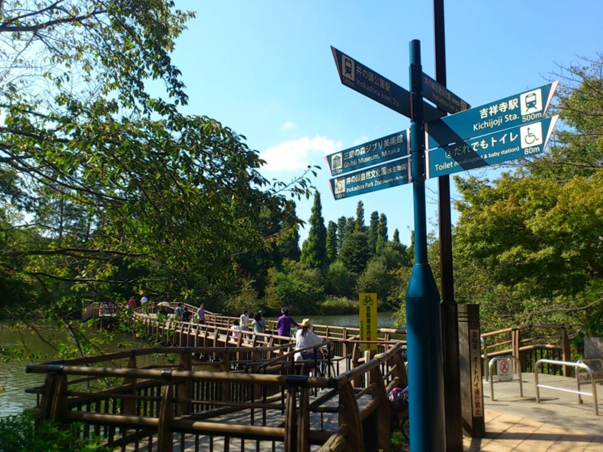 井の頭恩賜公園の景色　