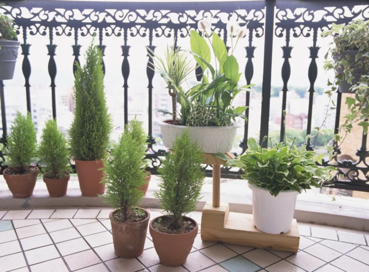 ベランダに置いてあるもの、植木鉢の台も足がかりになる可能性がある