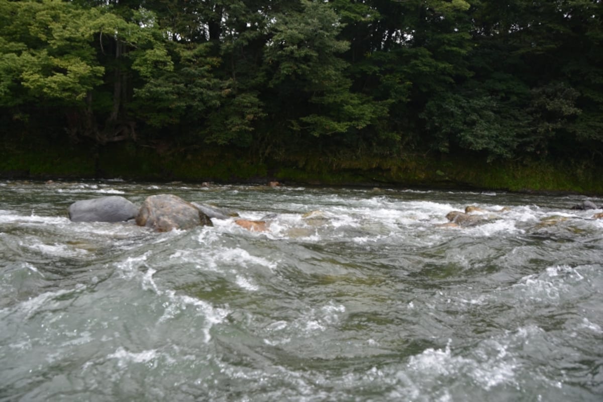 長瀞ライン下りBの急流