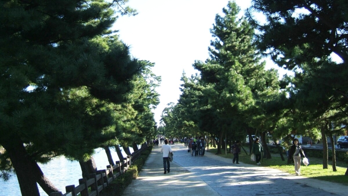 草加松原の遊歩道