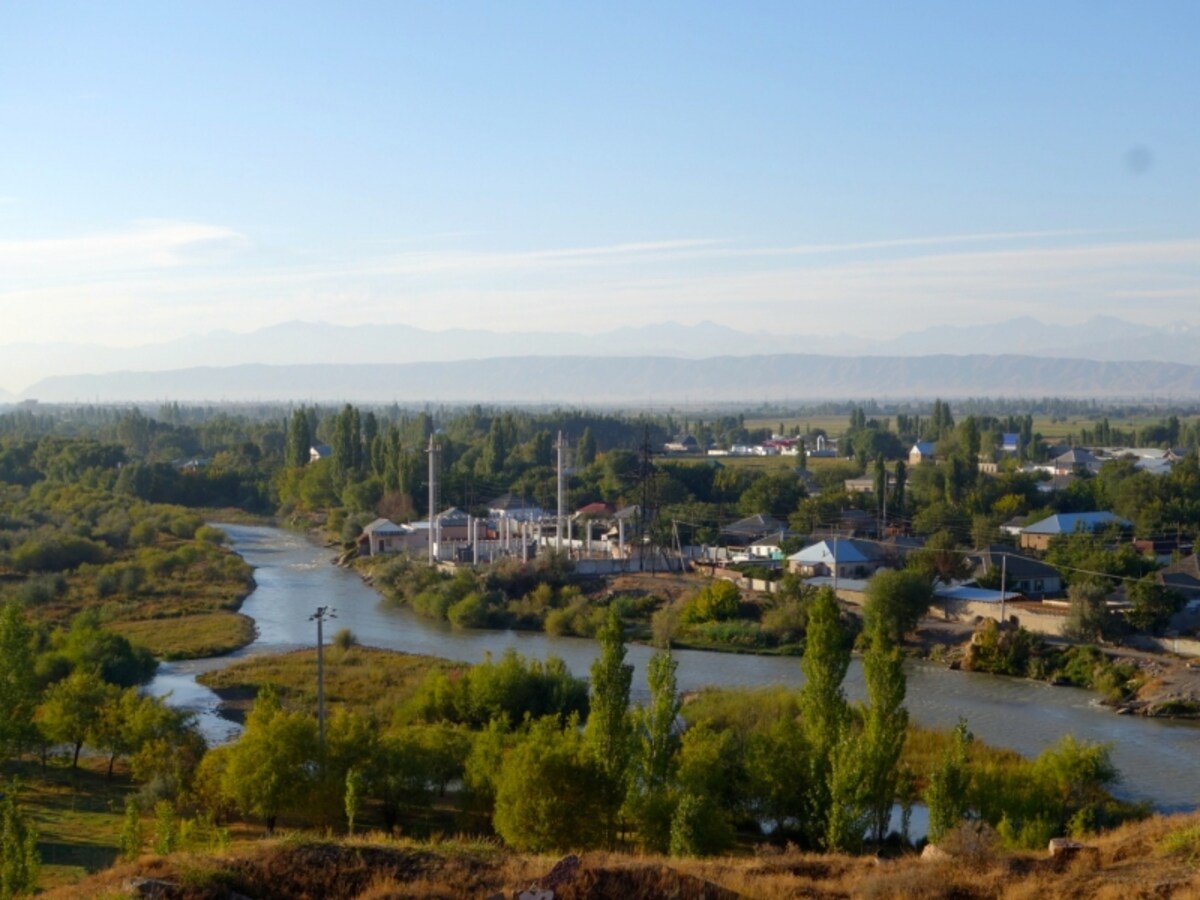taraz