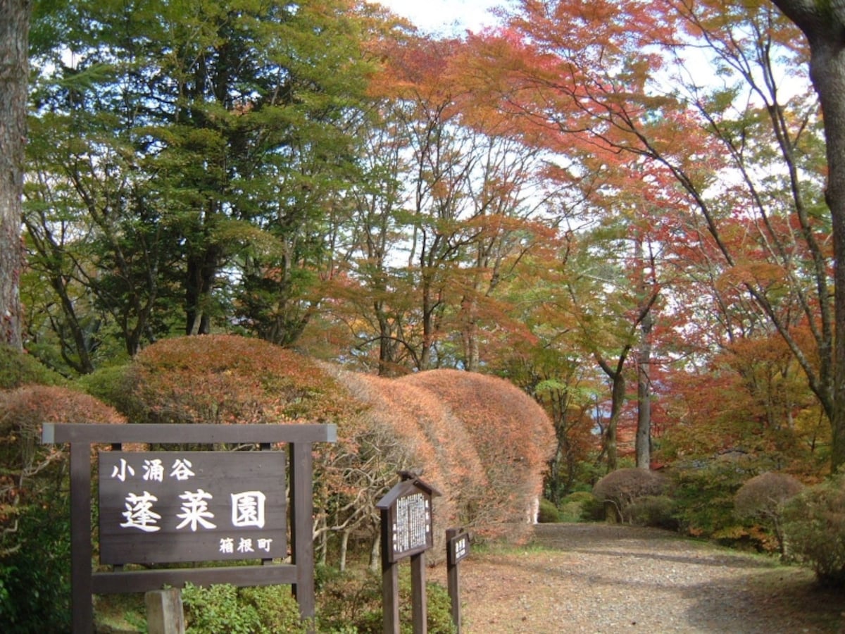 蓬莱園の紅葉・黄葉(1)