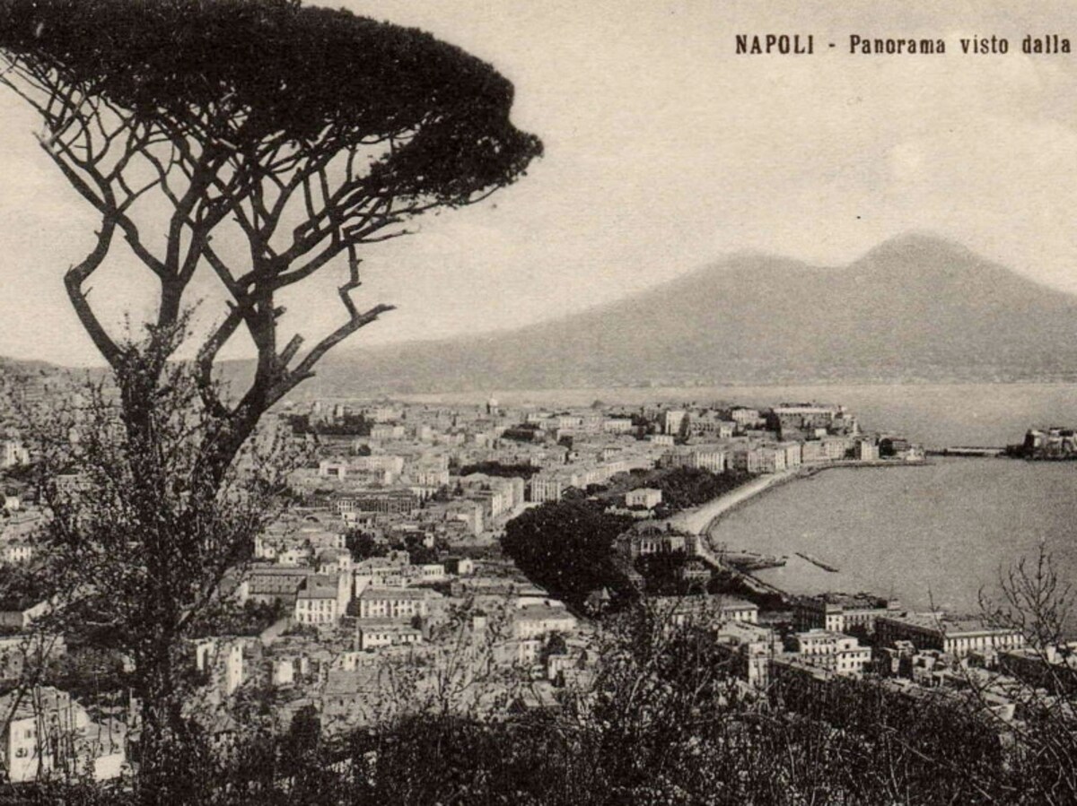 pino storico