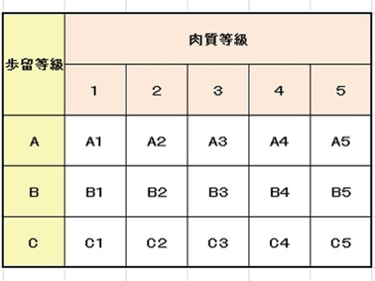 牛肉の格付け表