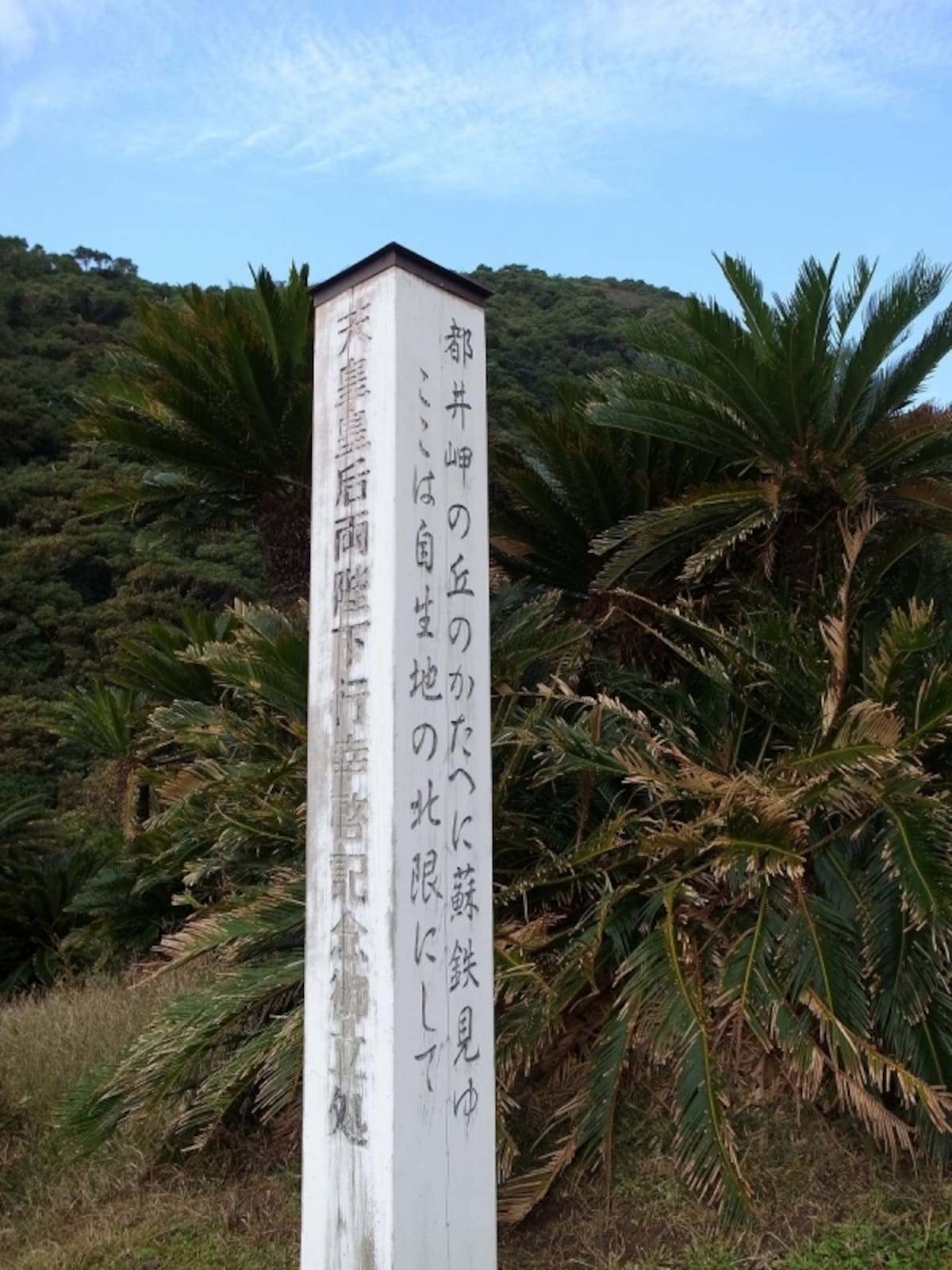 jinjya5