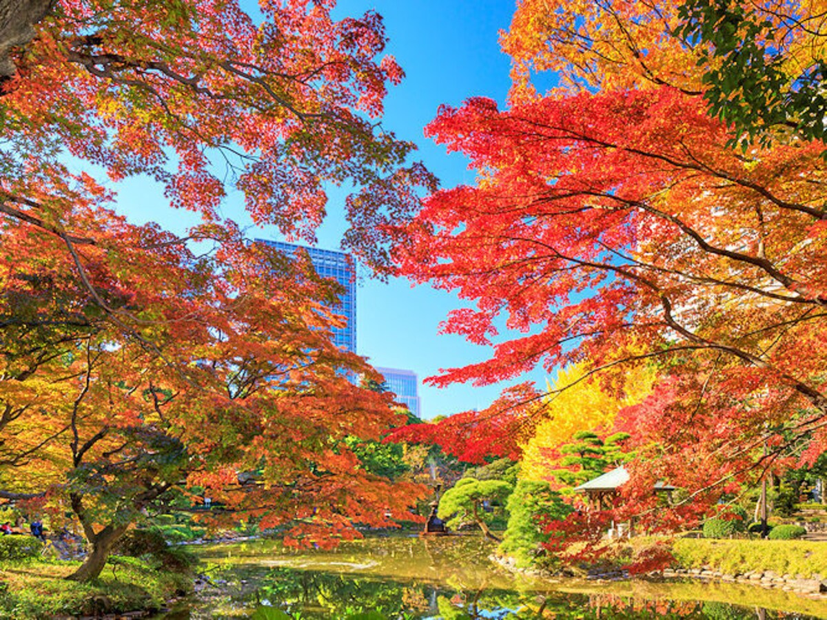 日比谷公園の紅葉