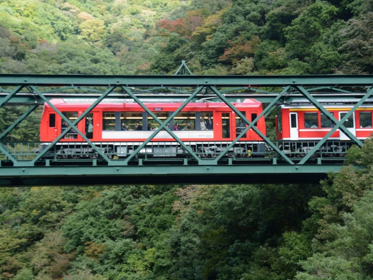 出山鉄橋のアレグラ