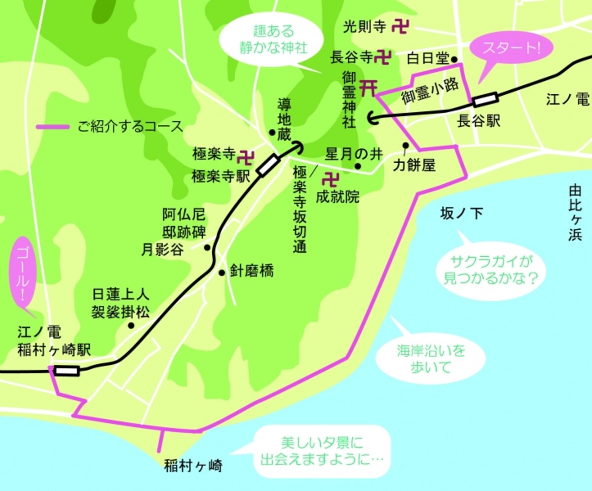ご紹介するコースの地図