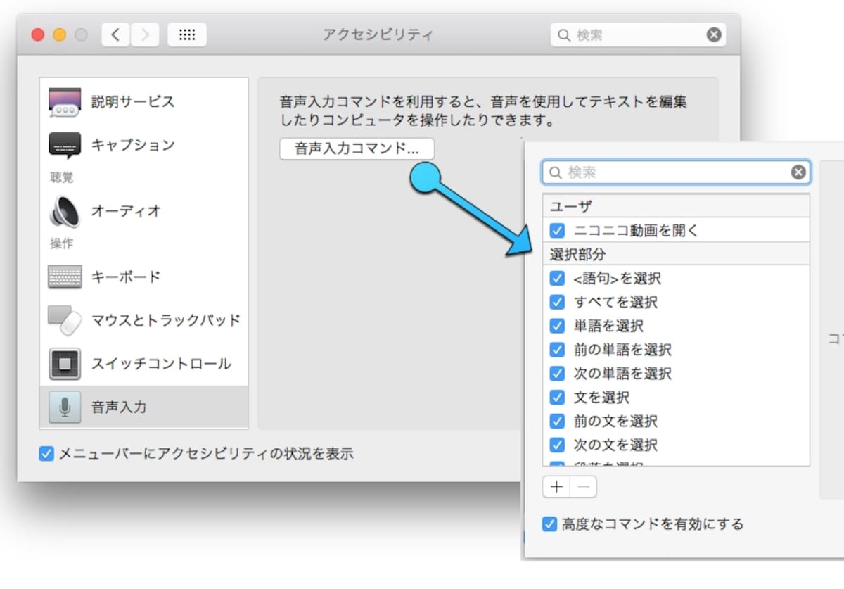 システム環境設定-アクセシビリティ：