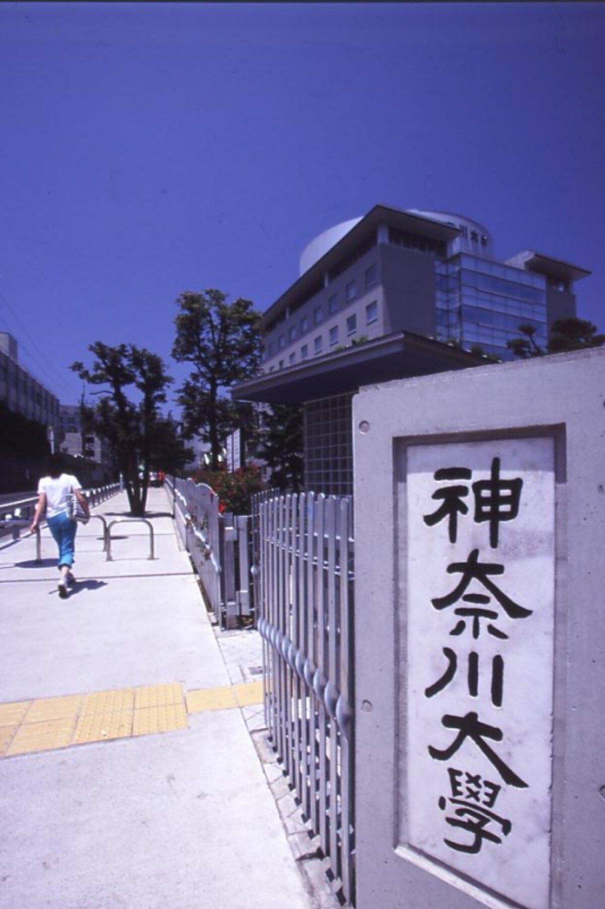 解説画像