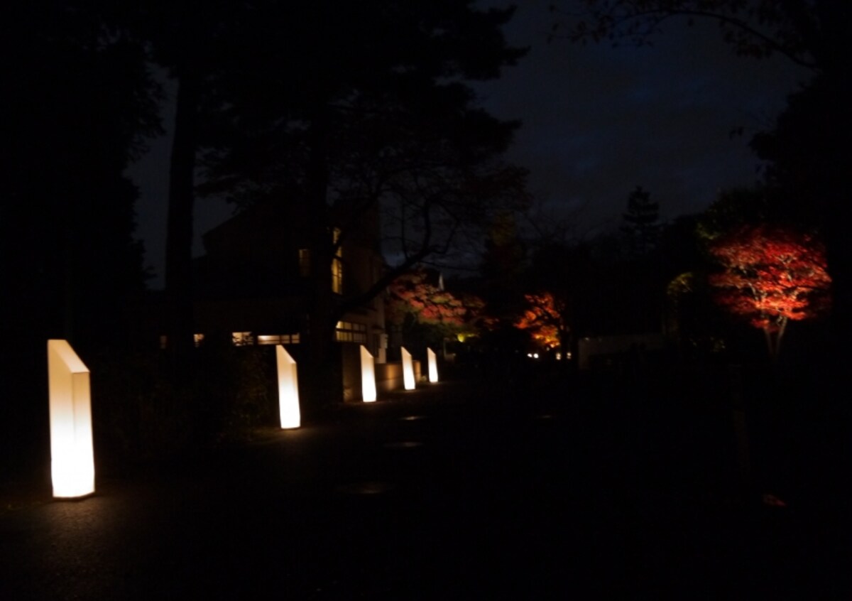 江戸東京たてもの園の紅葉ライトアップ