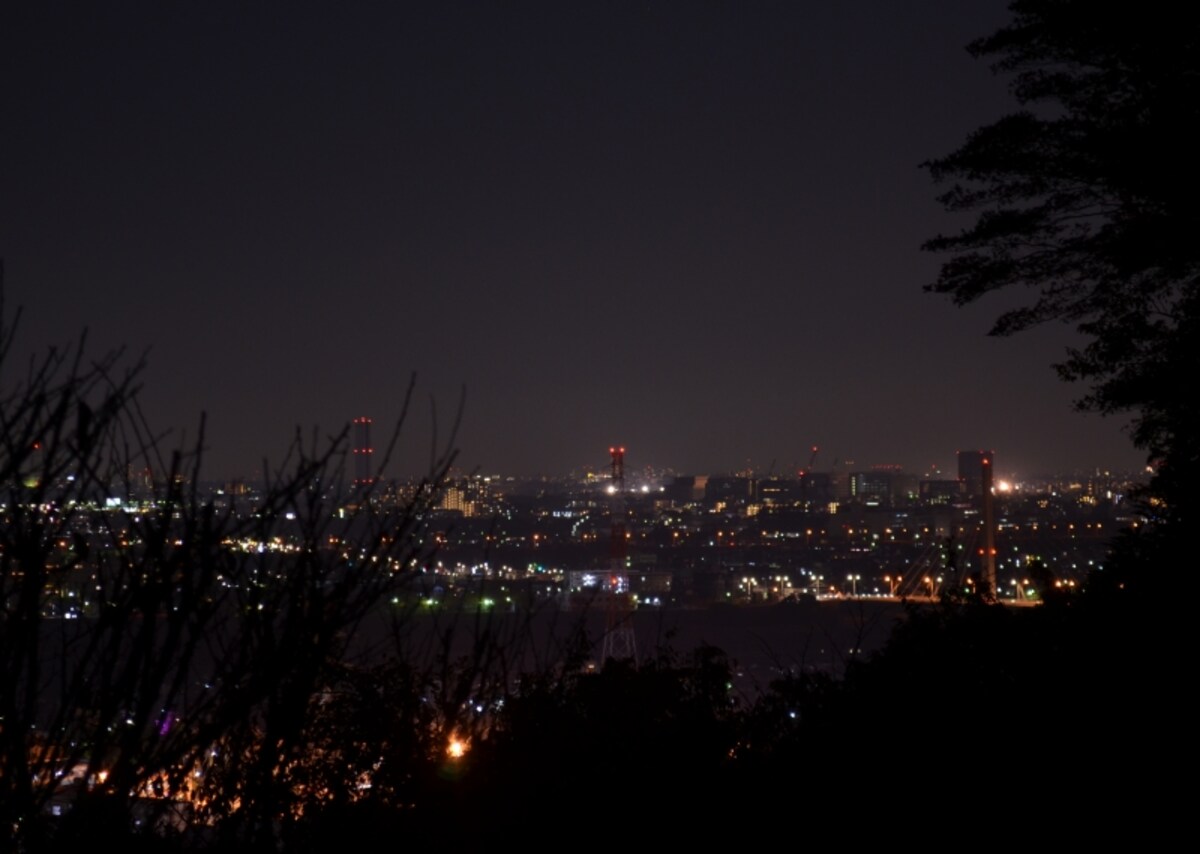 京王百草園からみた街の夜景