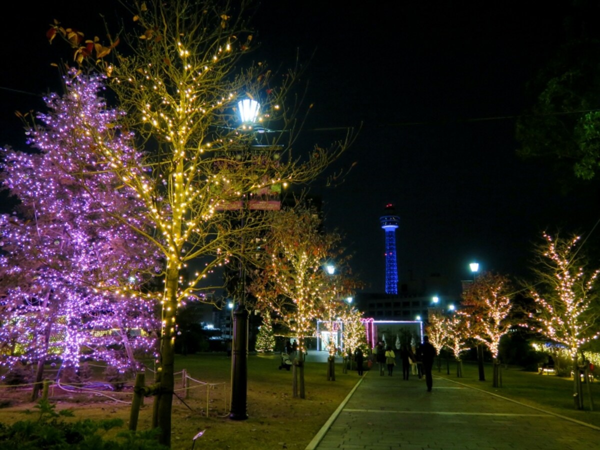 みなとみらい線 元町・中華街駅のすぐ上に位置するアメリカ山公園。約10万球のLEDを使用した、ロマンティックなイルミネーションが点灯
