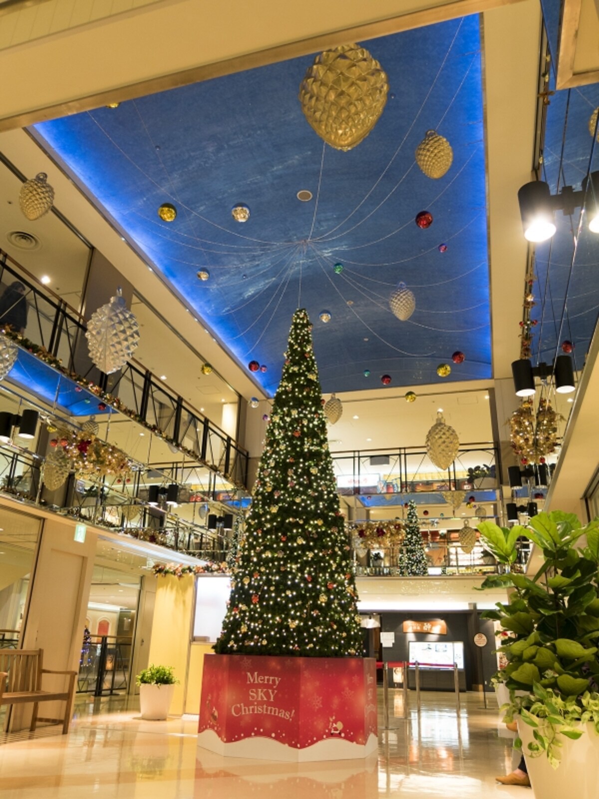 10階「BIG TREE」。天井の装飾にも注目