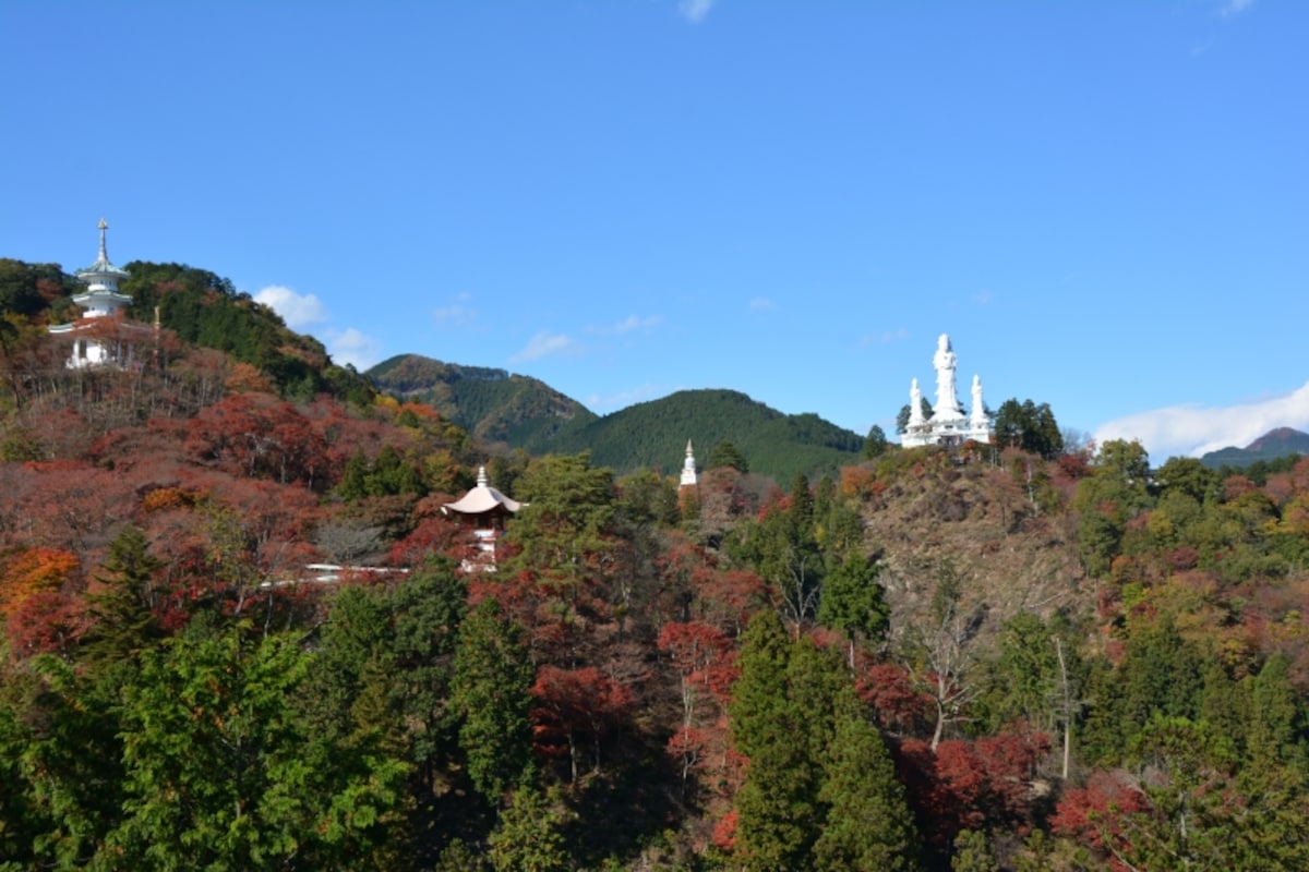 平和観音から見る白雲山鳥居観音の全景
