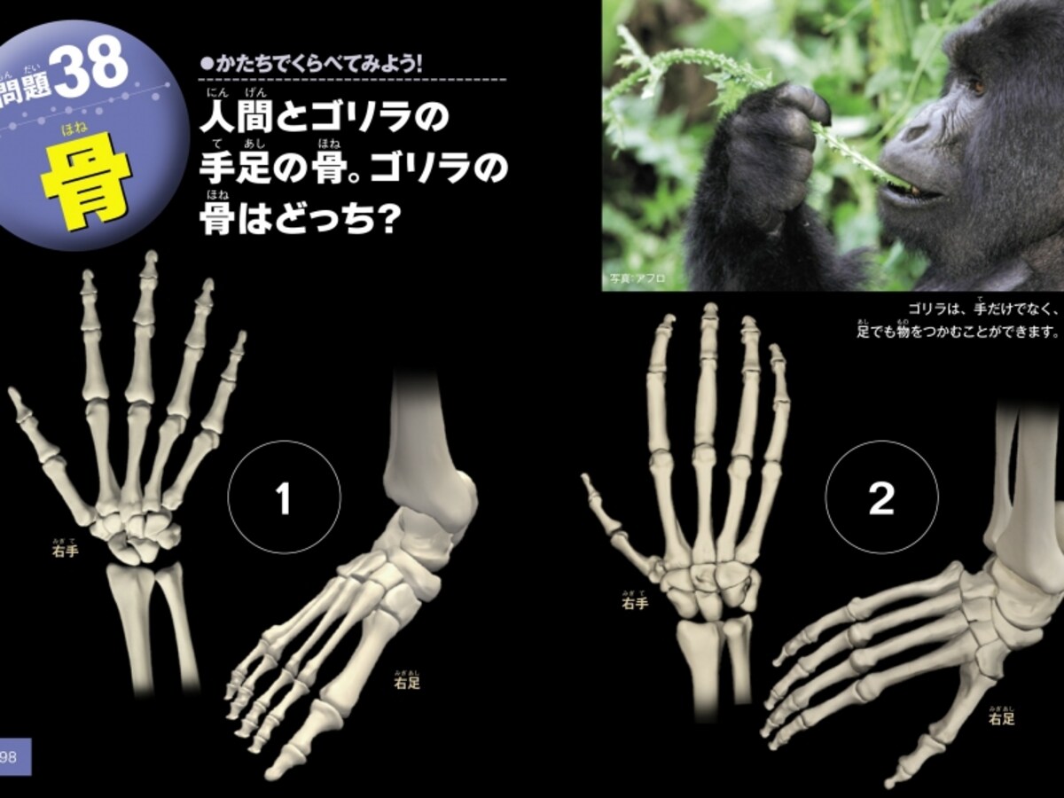 クイズ写真